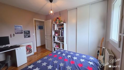 photo no. 12