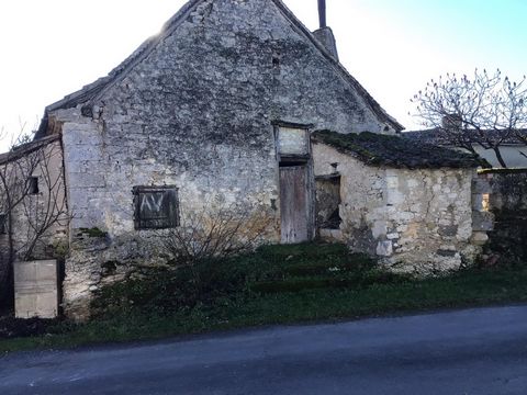 photo no. 10