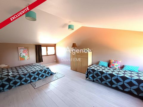 photo no. 10