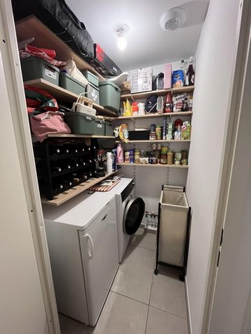 photo no. 11