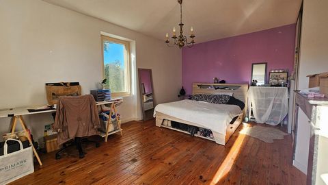 photo no. 14