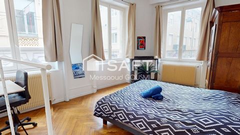photo no. 5