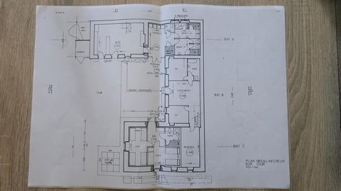 photo no. 15