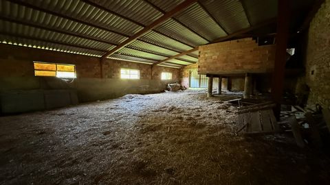 photo no. 14