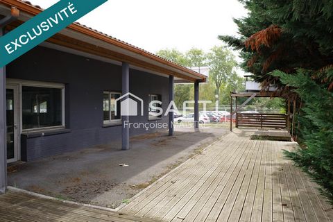 photo no. 2