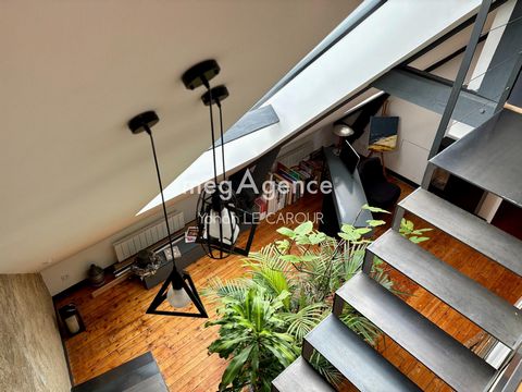 photo no. 10
