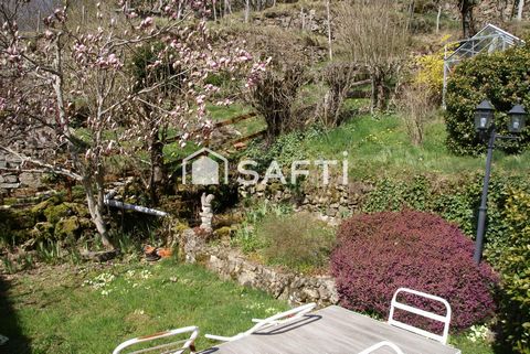 photo no. 15