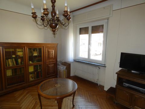 photo no. 2
