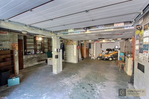 photo no. 18