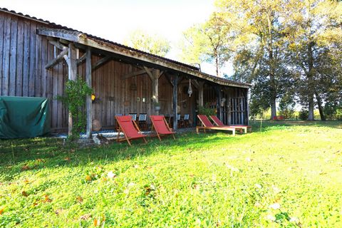photo no. 16