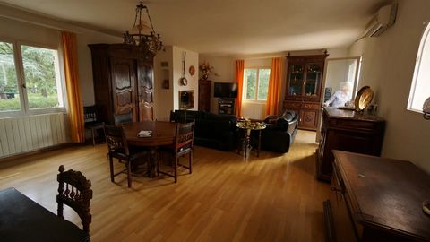 photo no. 15