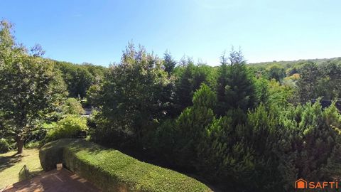 photo no. 19