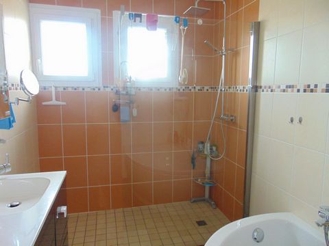 photo no. 8