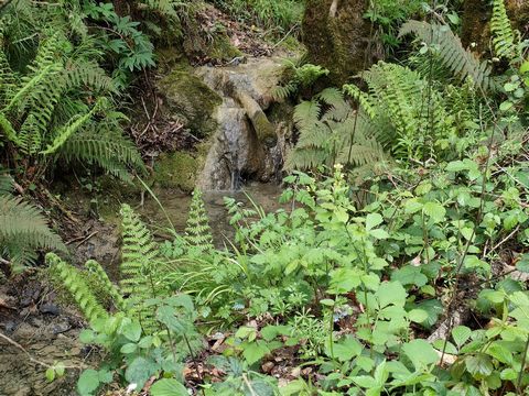 photo no. 17