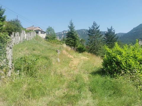 photo no. 3