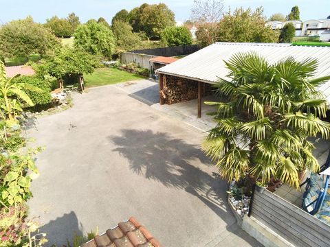 photo no. 8
