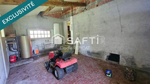 photo no. 19