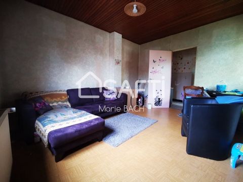 photo no. 6