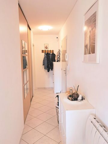 photo no. 8