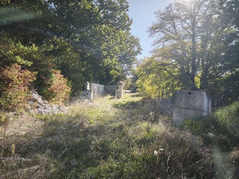 photo no. 7