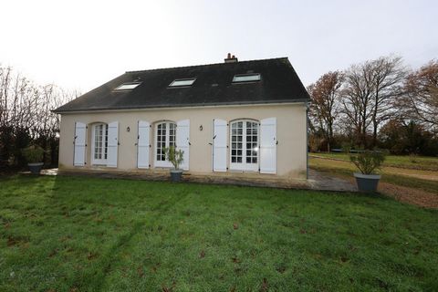 photo no. 17
