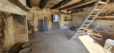 photo no. 10