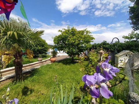 photo no. 12
