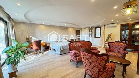 photo no. 11