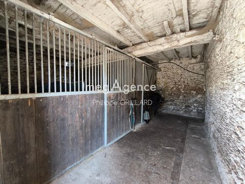 photo no. 11