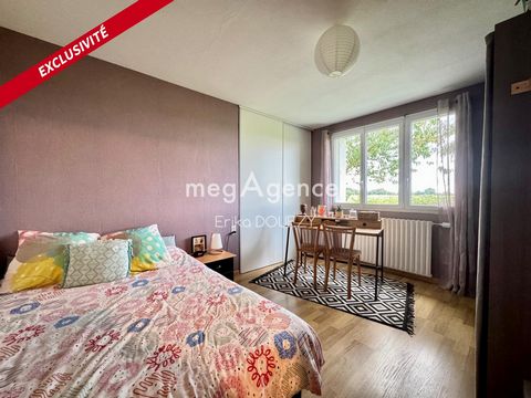 photo no. 11