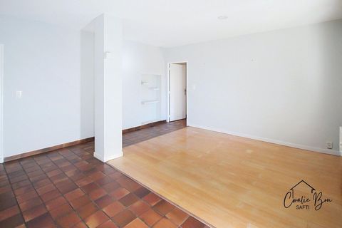 photo no. 4
