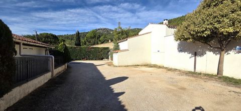 photo no. 2