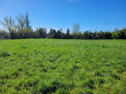 Terrain Constructible 1025m²