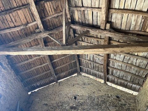 photo no. 14