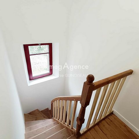 photo no. 6