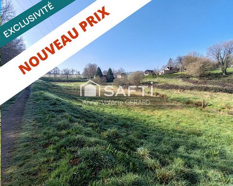Lot 2 terrains 8072 m² avec cours d'eau