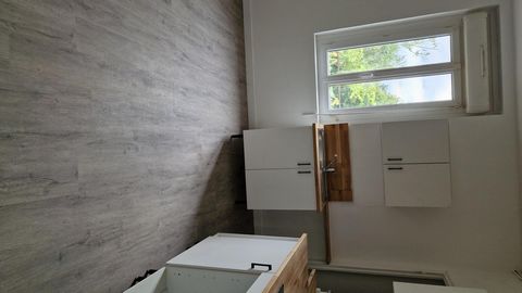 photo no. 18