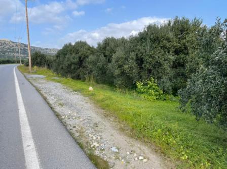 Kato Chorio, Ierapetra: Plot of 998sq.m out f the village plan with olive trees on the provincial road Ierapetra - Kato Chorio. The plot can build about a 90sq.m house or 180sqm shop. It is located at an angular/corner with over 40 meters frontage on...