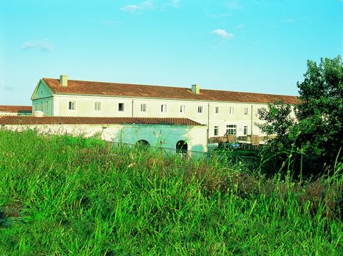 On the island of Aix, a protected natural area in Poitou-Charentes, opposite the famous and imposing Fort-Boyard Heated outdoor pool Near the port of departure, the beach and shops Studio Standard 4 people - 1 mezzanine - approximately 30 meters Livi...