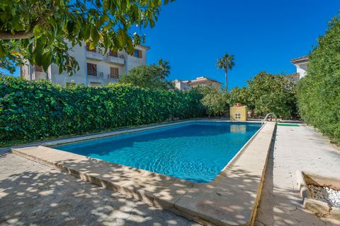 Con piscina privada e impresionantes terrazas, esta magnífica casa se encuentra en Ca'n Picafort, a 300 metros de la playa de Son Bauló, y ofrece alojamiento a 6 personas. Esta estupenda casa dispone de una fantástica piscina privada de sal, -de 8 x ...