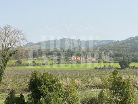 Situated in a beautiful valley of fertile land in the rural area of Maxial, Torres Vedras, this Rustic Land of almost 1 hectare, stands out for the many and varied possibilities of agricultural use. In the entire surrounding area of this land, there ...