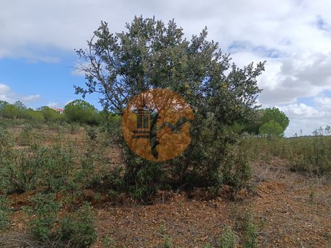 Rustic land with 16,000 m2 - Torneiro, in Alcoutim - Algarve. Land with asphalt access. Flat terrain. Close to Electricity. Just 10 minutes from the village of Alcoutim. About 35 minutes from the town of Castro Marim and the border with Spain, Ayamon...