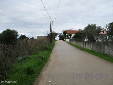 Judicial Sale Rustic land Total area: 7,680 m² Judicial sale of rustic land composed of olive grove and tree culture, with the area of 7,680 m², at Quinta de Vale Flores in Achete. For more information, please contact the judicial sales department of...