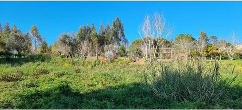 For Sale Plot of 1.550 M2 with approved construction project in Relvas, Santa Catarina, Caldas da Rainha, possible to build 1 or 2 houses with swimming pool. Possible to build two T3 houses, with swimming pool. Licencia de constructions activa.