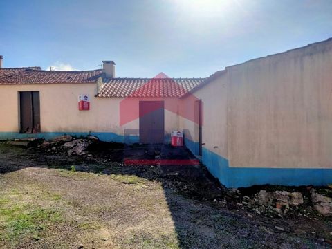 Property consisting of three warehouses with a total construction area of 131m2, located on a 315m2 plot. Affectation of warehouses and industrial activity Located in a quiet village about 12 minutes from Vila da Lourinhã and 15 minutes from beaches....