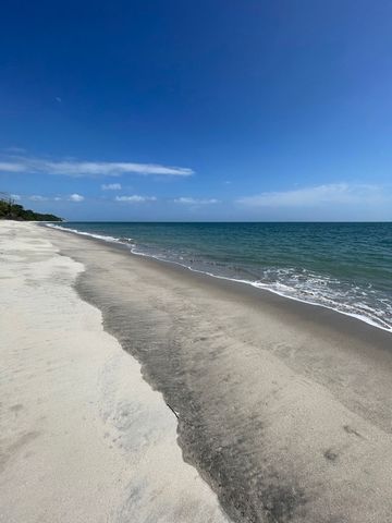 .5 acre (2000sm +/-)  This is raw, undeveloped land in Playa Grande.  The road down to the beach requires 4x4 to reach property.  Very private with gorgeous beachfront land.   Land for sale, 18-64 Manzana 130907, in San Carlos, Panama