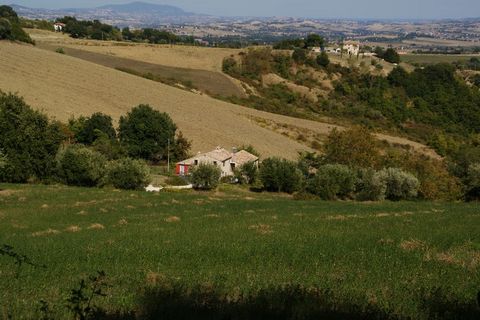 This wonderful 3-bedroom holiday home is set in Treia, in the wonderful countryside of Le Marche. You have a furnished private terrace and a swimming pool with sun-loungers to have a pleasant holiday. The holiday home is ideal for a family or a group...