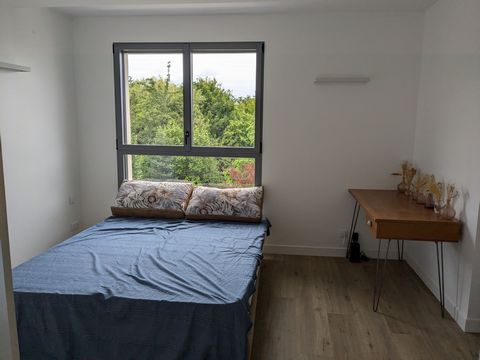 photo no. 14