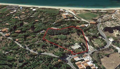 Terrain de 7.700m² avec résidence de 125m², angulaire, avec forage d’eau et une grande façade (33m) sur la route principale, à seulement 200m d’Agios Isidoros, l’une des meilleures plages de sable de l’île de. Il est approprié pour un usage résidenti...