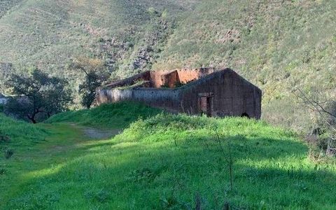 Liten gård belägen i församlingen Monchique med en yta på 17640 m2 och en ruin att återställa med 128 m2. På tomten finns vatten från en bäck och en källa el finns på fastigheten. Fastigheten består av jordgubbsträd och korkekar. 15 kilometer från Mo...